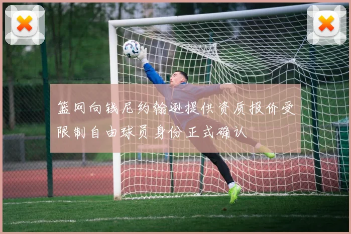 篮网向钱尼约翰逊提供资质报价受限制自由球员身份正式确认
